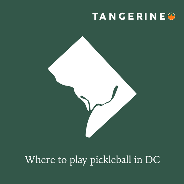 Where to play pickleball in Washington, DC
