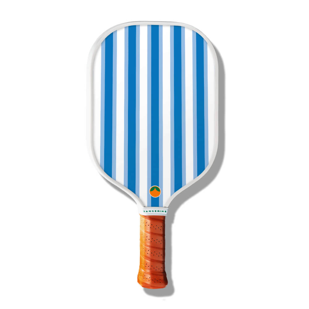 Light and dark blue striped pickleball paddle on a white background